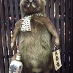 Staffing Japanese Raccoon